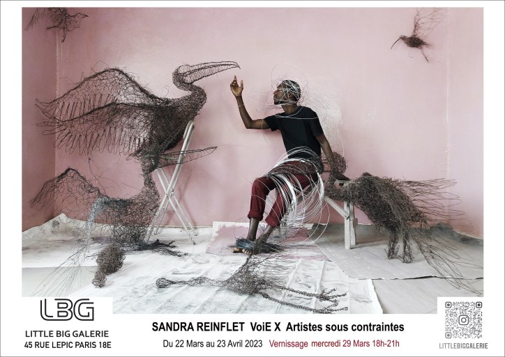 Expositions VoiE.X, artistes sous contraintes à la Little Big Galerie, 45 rue Lepic, Paris 18. Du 22 mars au 23 avril 2023